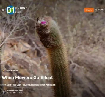 The image shows a cactus in a desert background